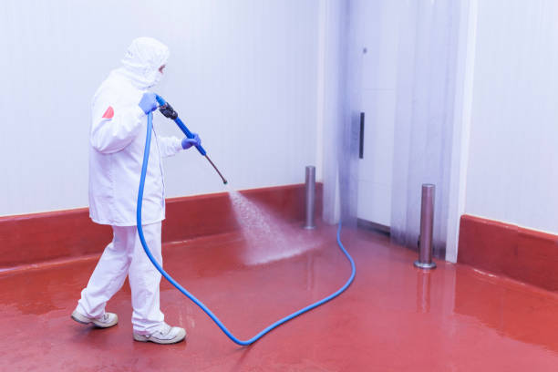 Best Boat and Dock Cleaning  in Fair Haven, NY
