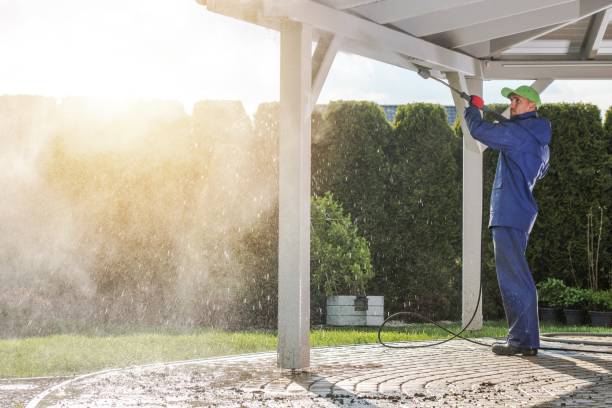 Best Roof Washing  in Fair Haven, NY